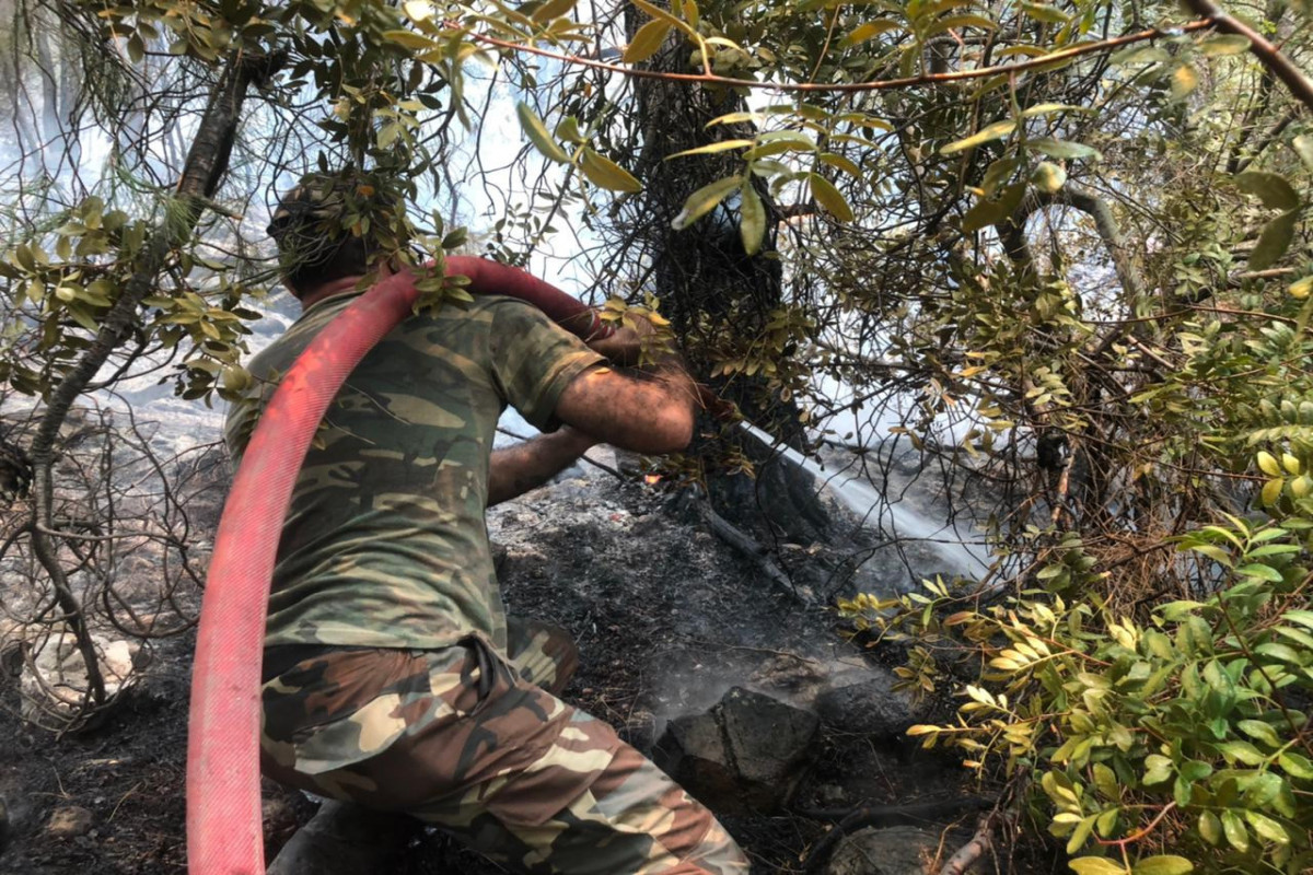 Противопожарные силы МЧС Азербайджана взяли под охрану тепловые электростанции Кемеркой и Еникой в Турции