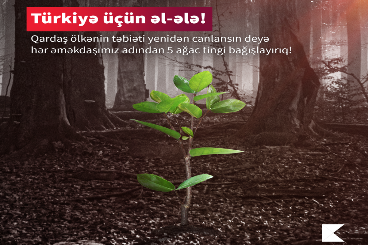 "Kapital Bank" meşələrin bərpası üçün Türkiyəyə dəstək göstərib