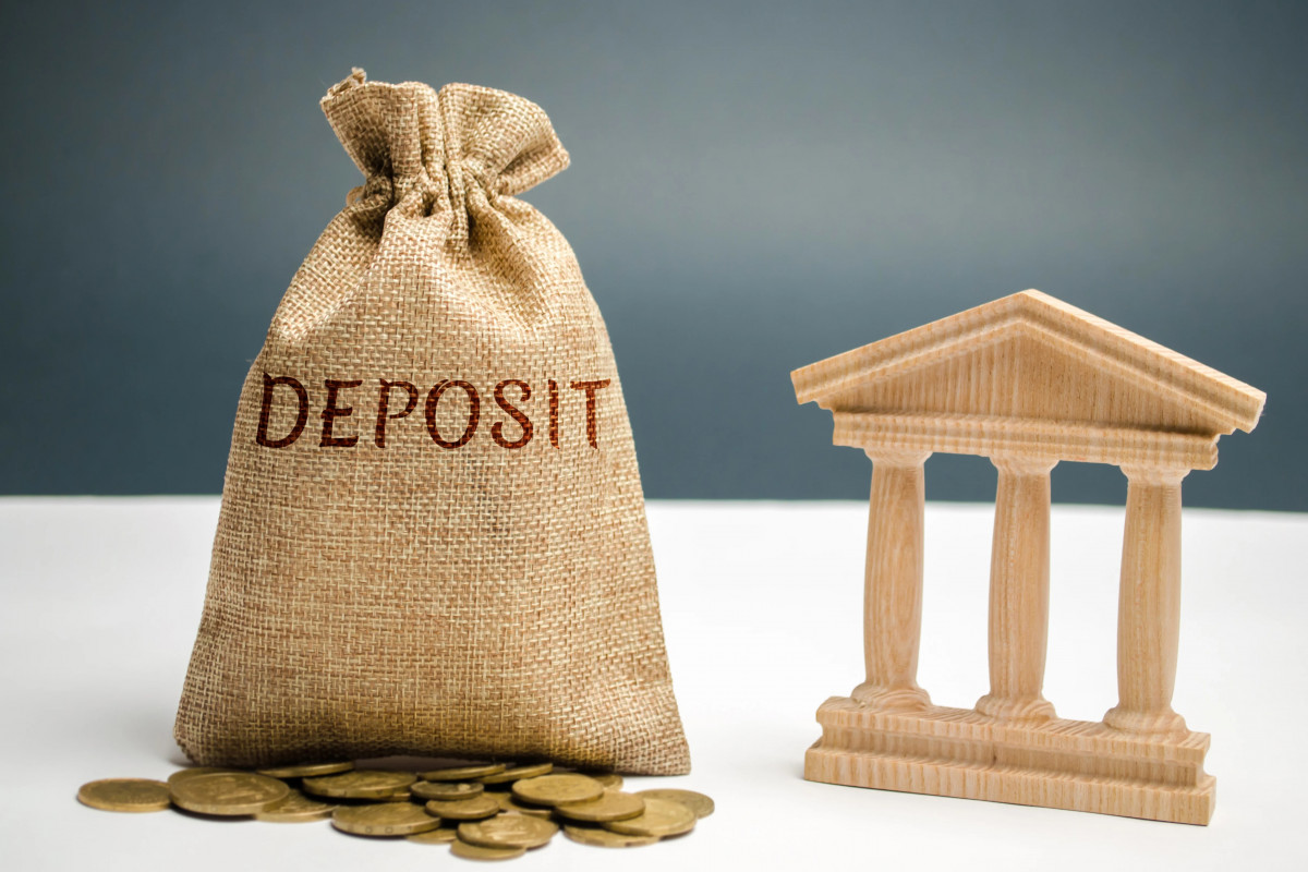 Depozit portfelini bu il ən çox artıran banklar - RENKİNQ 