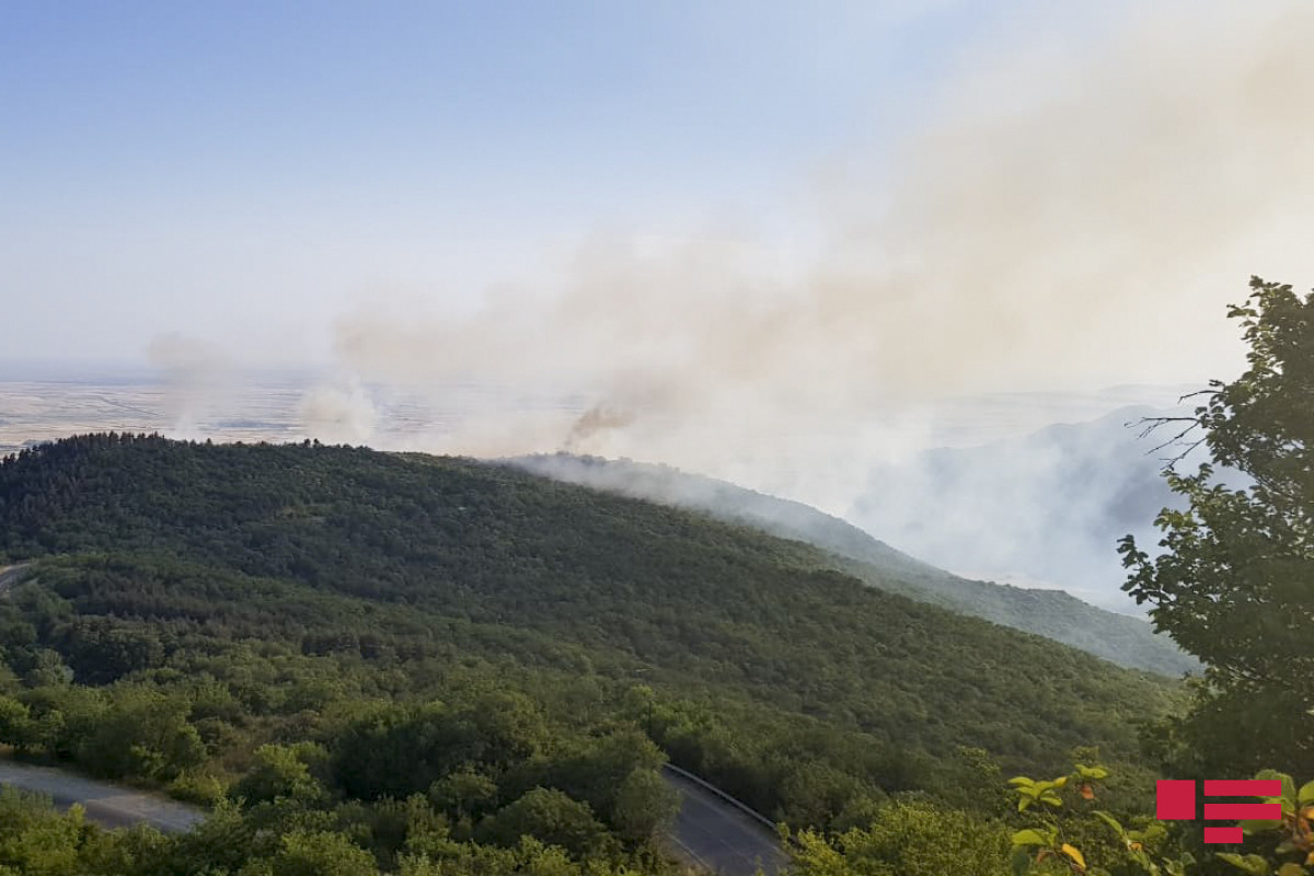 Пожар в горной местности в Габале