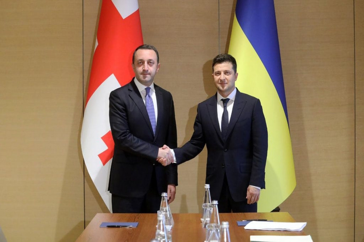 Gürcüstanın Baş naziri Ukrayna prezidenti ilə görüşüb