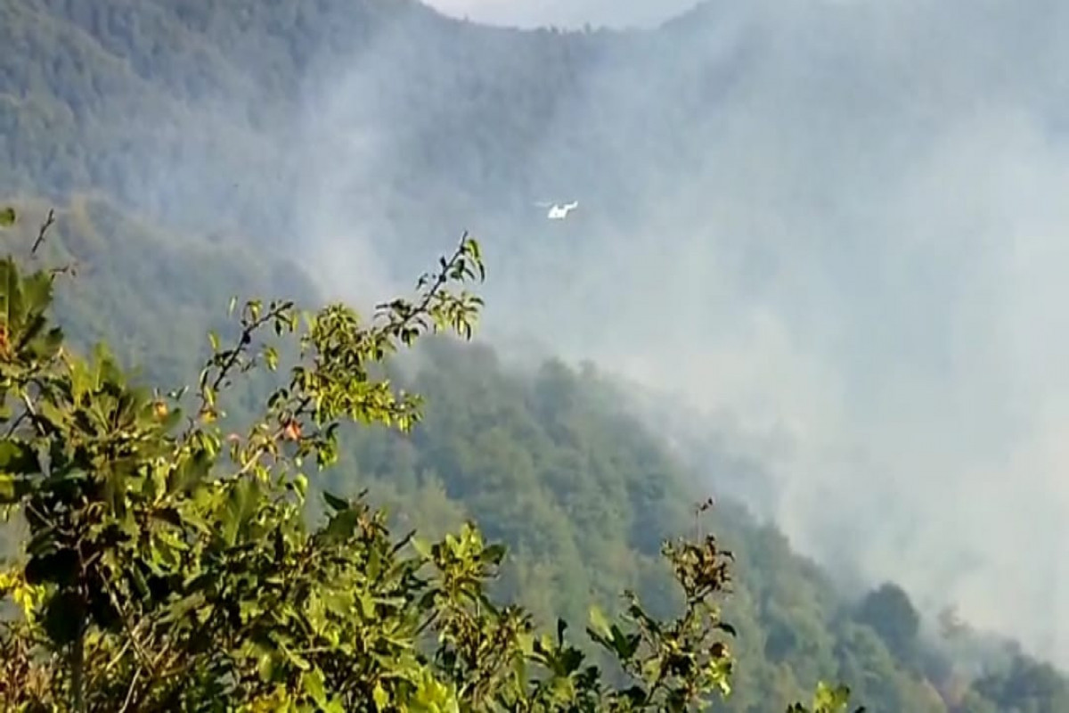Пожар в горной местности в Лерике