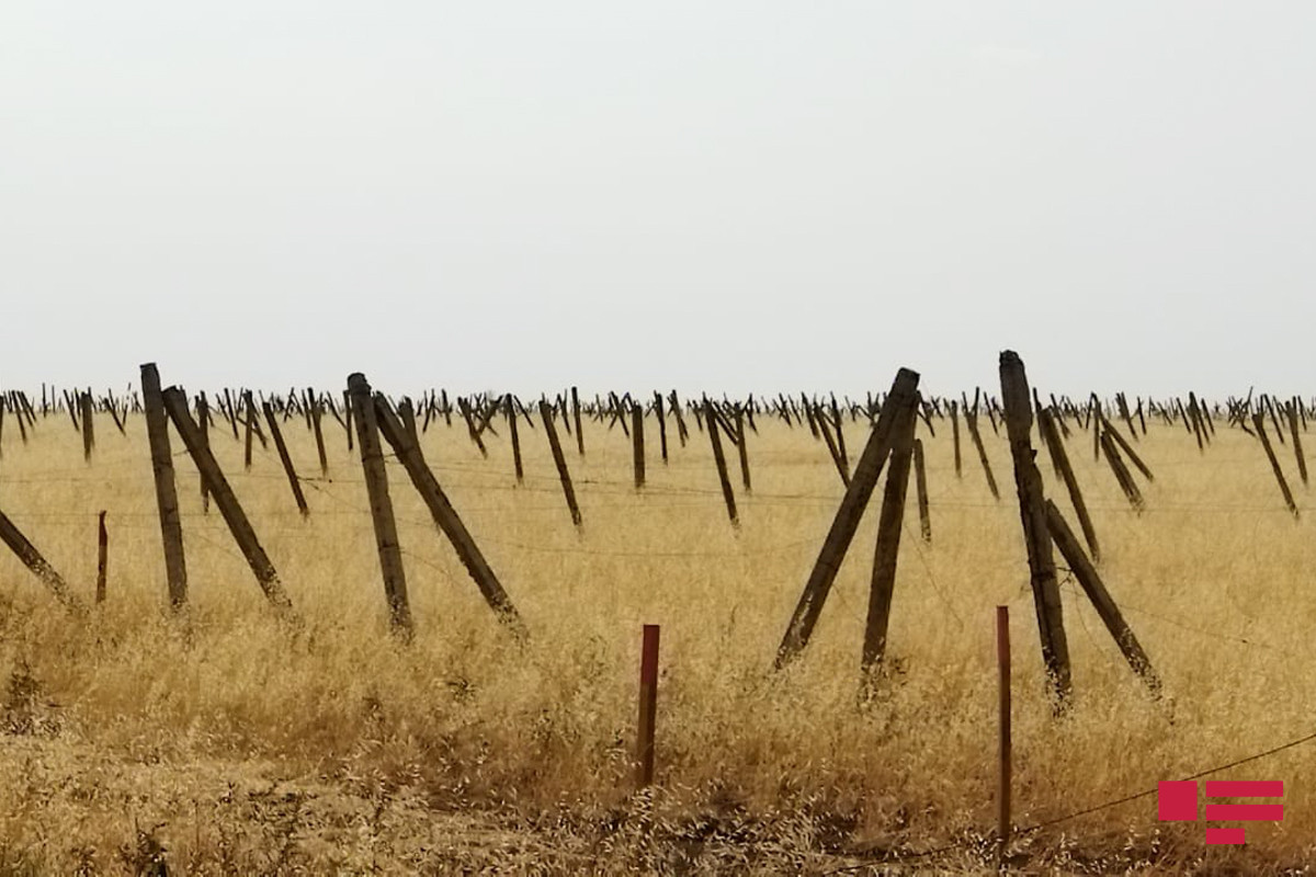 Çinin “On the road” şirkəti Azərbaycanın işğaldan azad edilmiş əraziləri ilə bağlı film çəkir - FOTO 