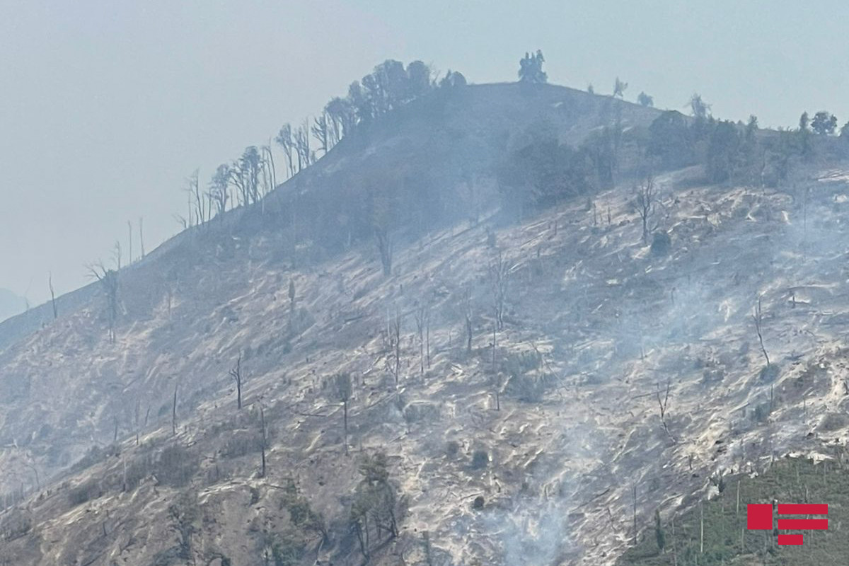 Министр Кямаледдин Гейдаров побывал в горной местности со сложным рельефом в Габале, где произошел пожар
