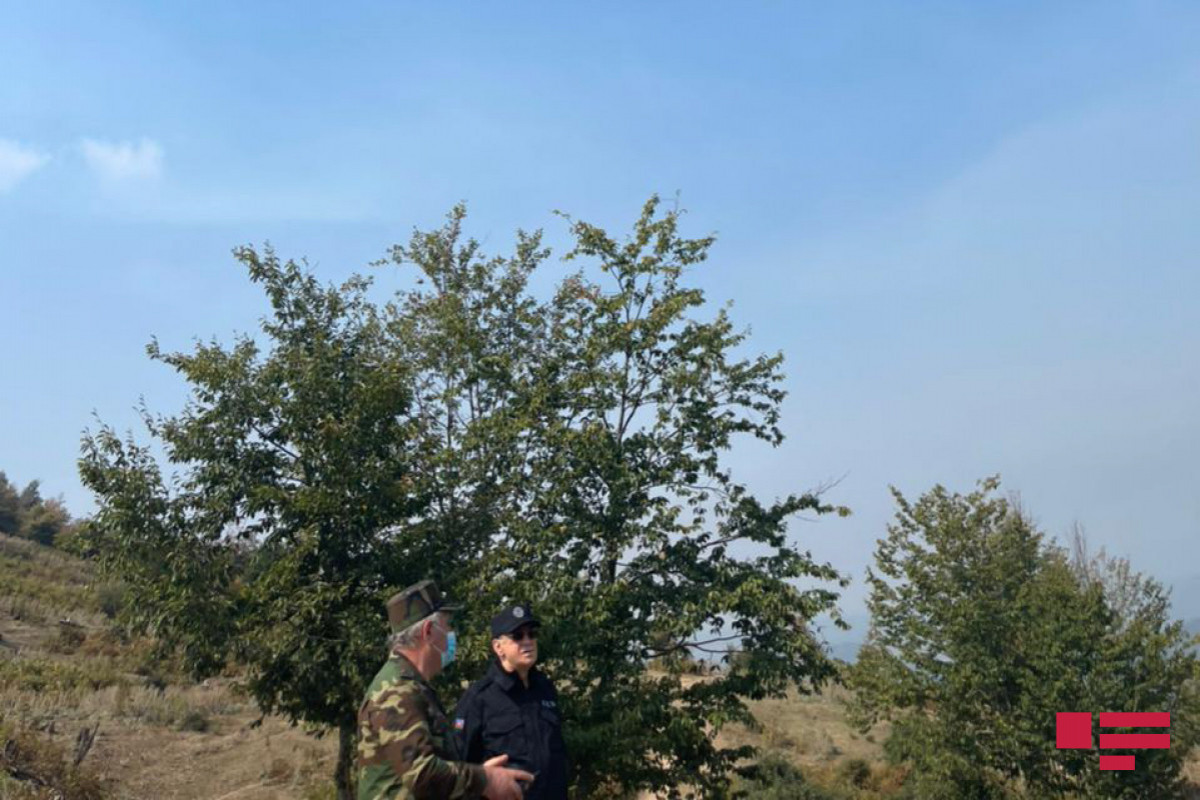 Министр Кямаледдин Гейдаров побывал в горной местности со сложным рельефом в Габале, где произошел пожар