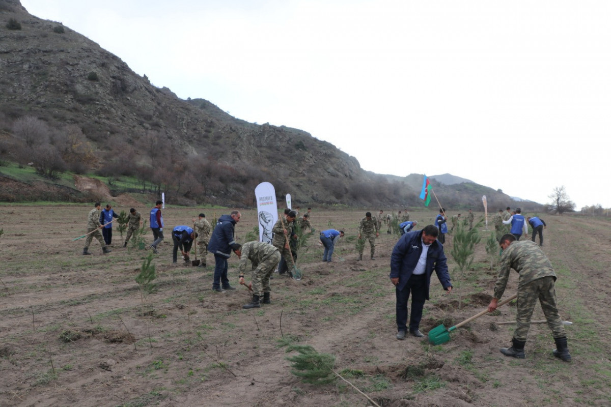 Tree-planting campaign held in Lachin
