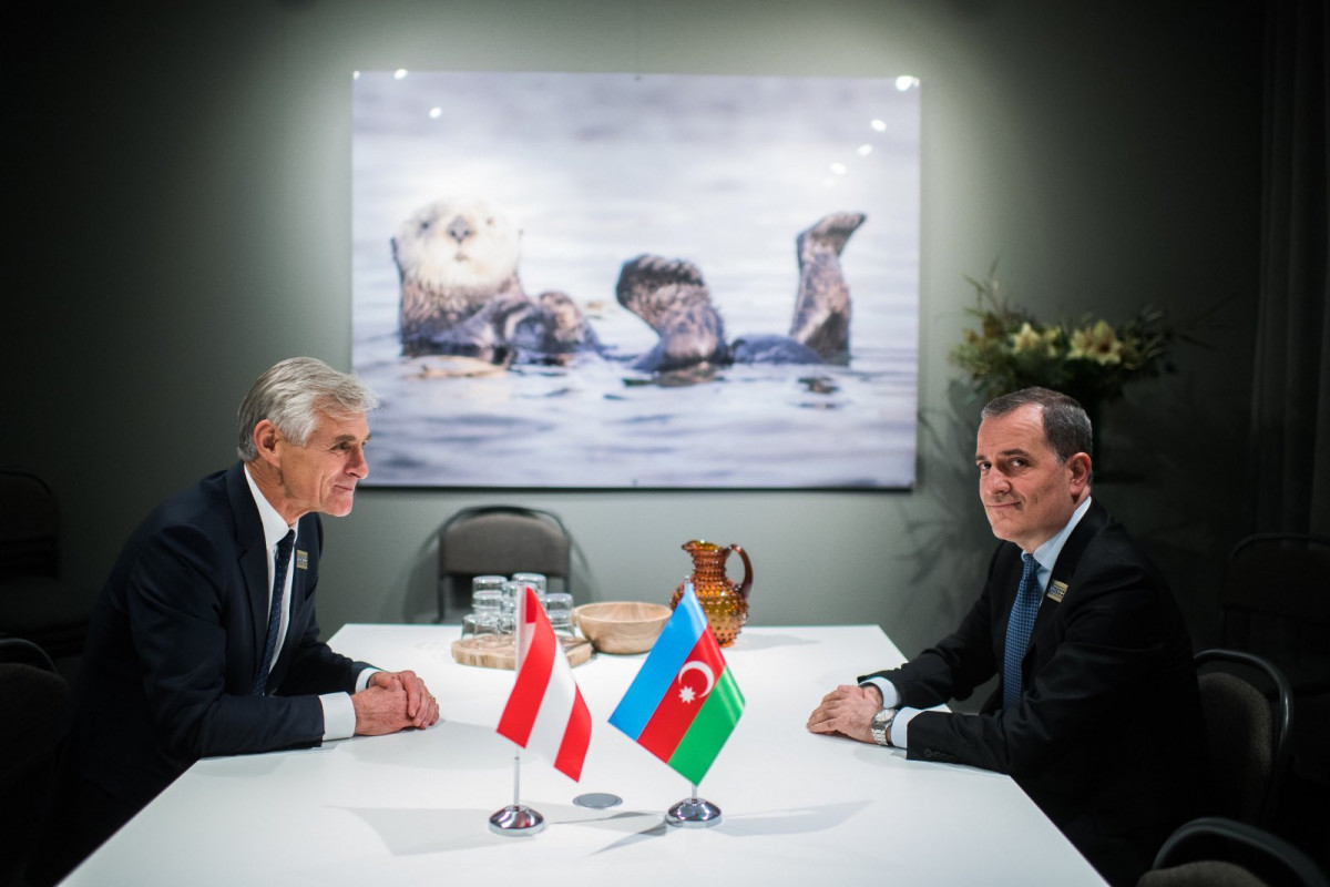 Министр иностранных дел Азербайджана встретился с австрийским коллегой