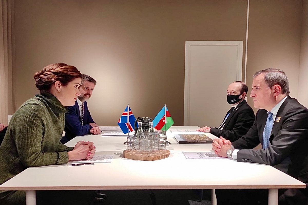 В Стокгольме состоялась встреча глав МИД Азербайджана и Исландии