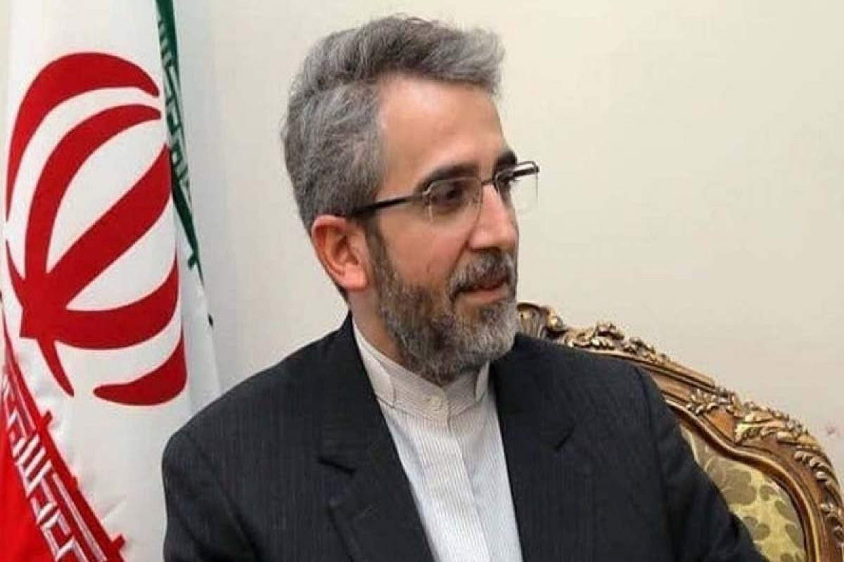 Iranian Deputy Foreign Minister Ali Bagheri Kani,