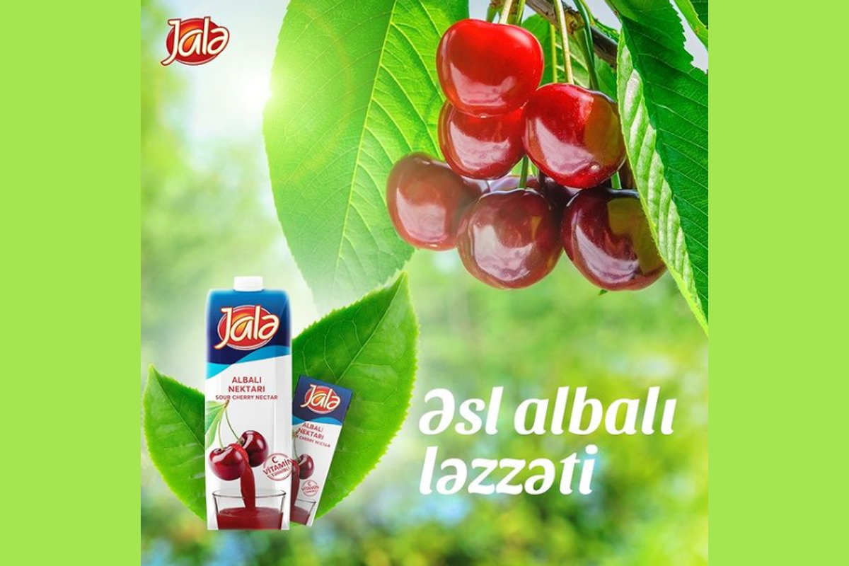 Yenilənmiş “Jalə” şirələrinin tərkibi dəyişib - MÜSAHİBƏ 