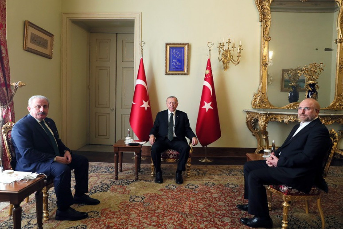 Ərdoğan İran Parlamentinin sədrini qəbul edib