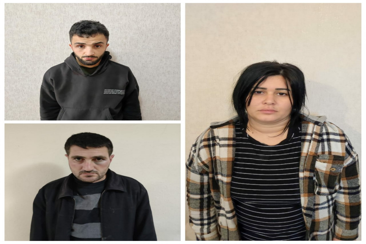 Mal-qara oğurlayan mütəşəkkil dəstə saxlanılıb