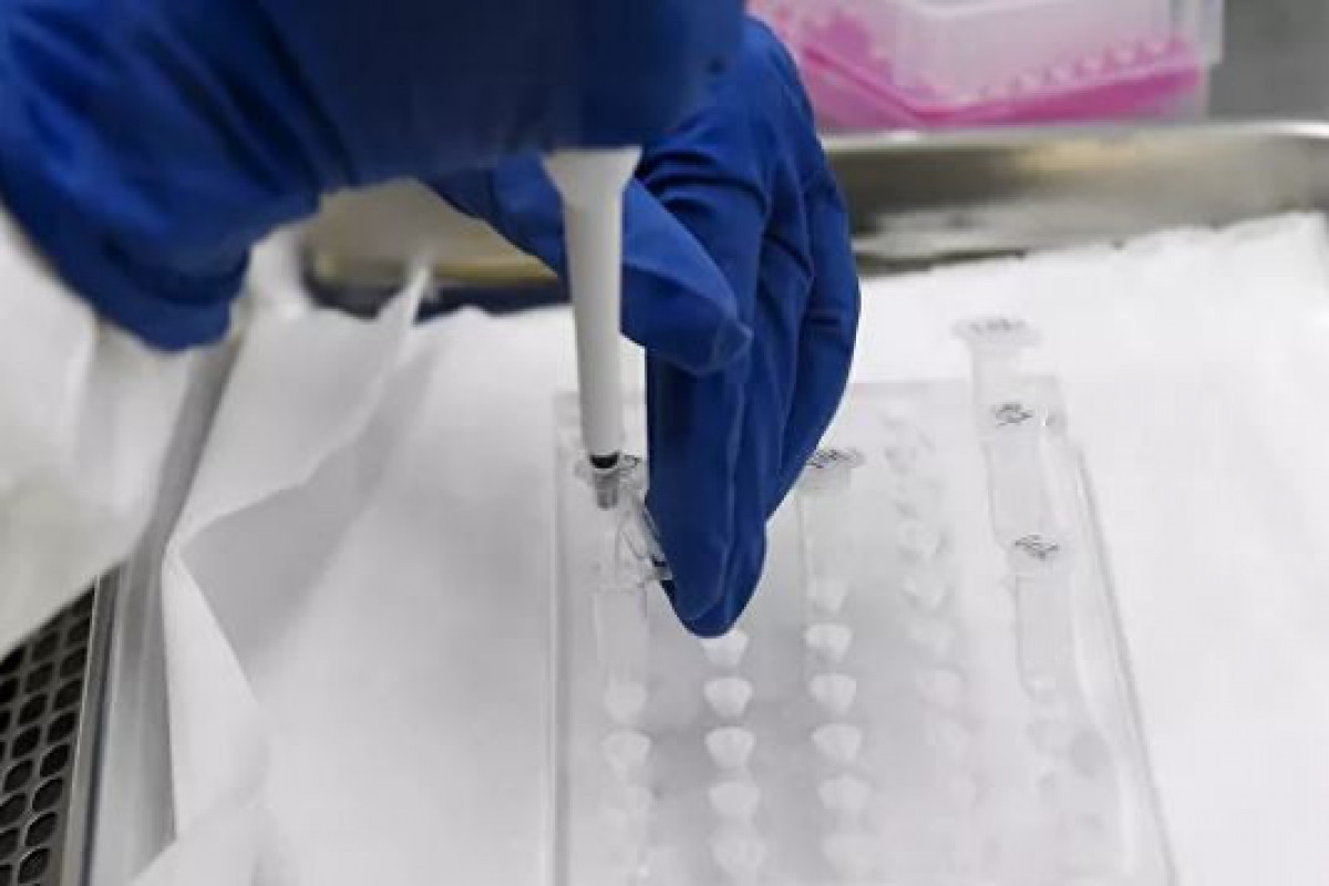 Sloveniya və Əlcəzairdə ilk dəfə Omicron ştamı aşkarlanıb