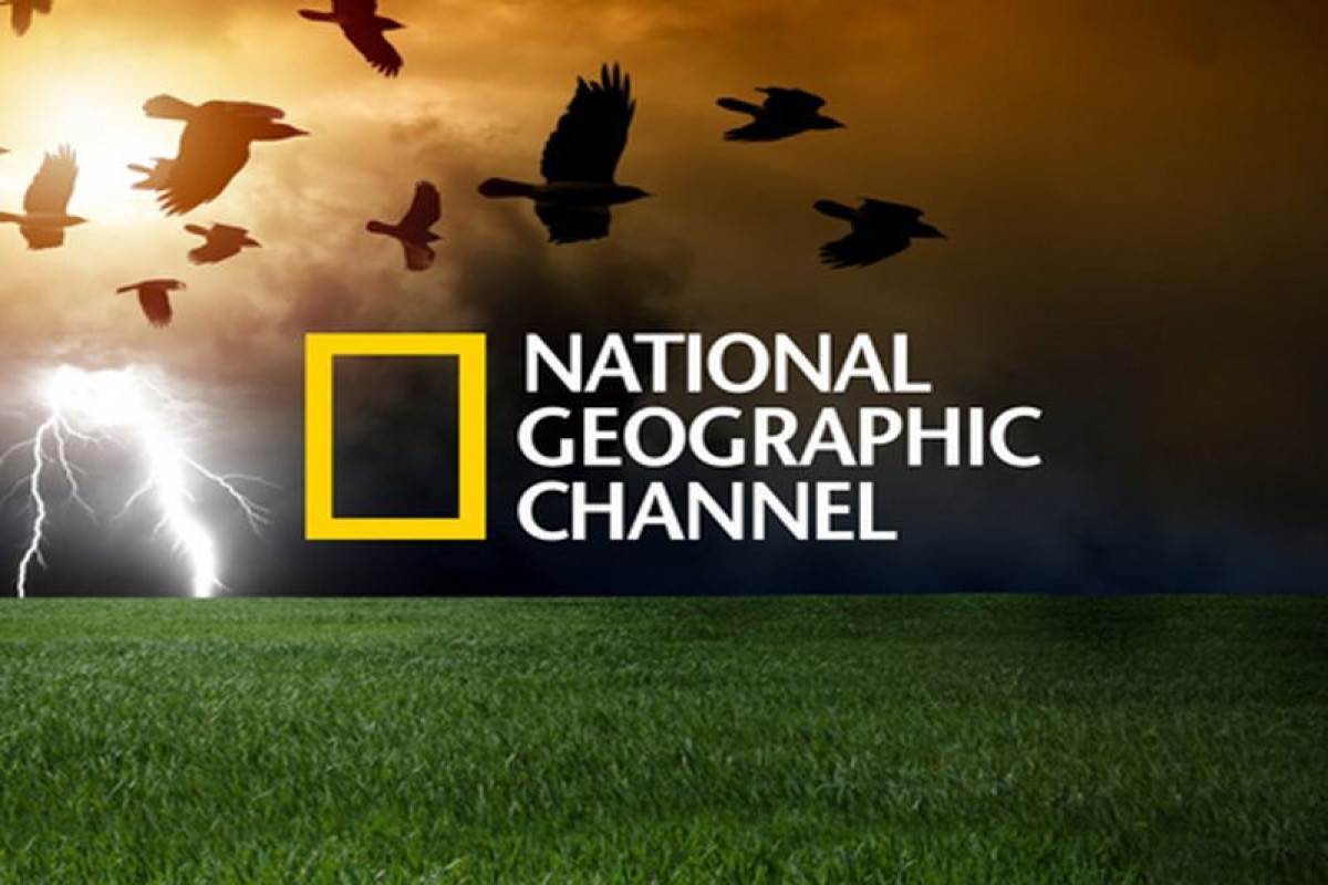 Azərbaycanda “National Geographic” tipli kanalların yayım şərtləri asanlaşdırılacaq