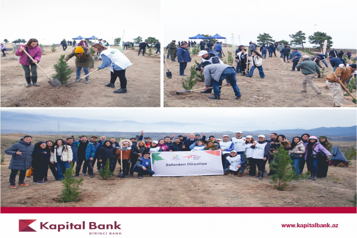 Kapital Bank принял участие в акции по посадке деревьев в Зангилане® 
