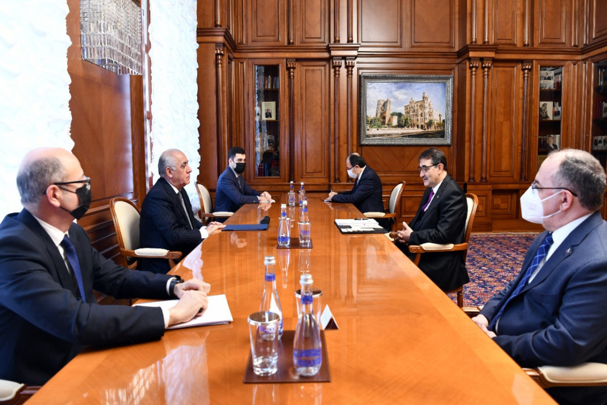 Али Асадов встретился с министром энергетики и природных ресурсов Турции