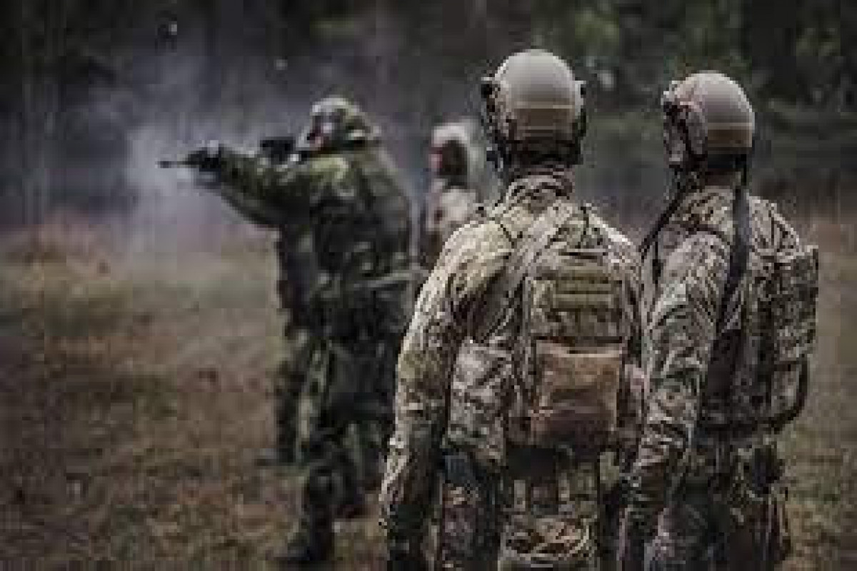 Sweden increases combat readiness level amid situation in Ukraine