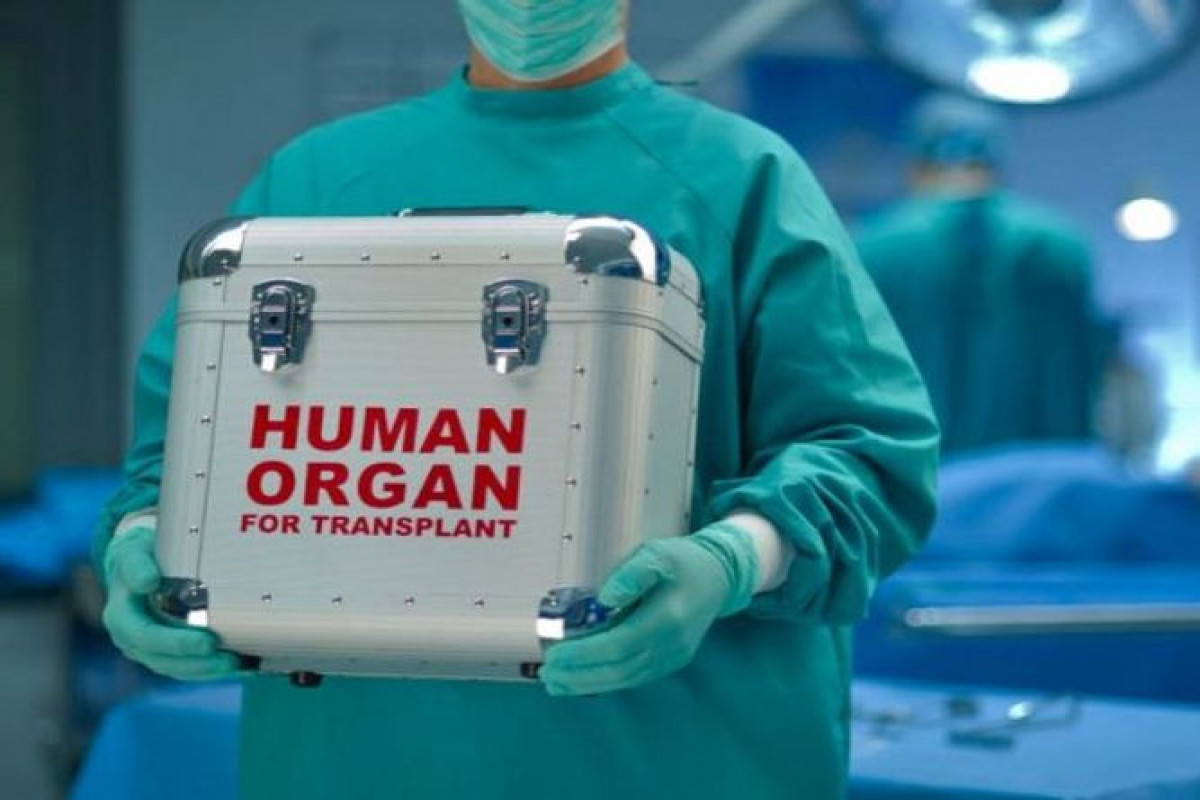 Azerbaijan develops rule on organ import from abroad