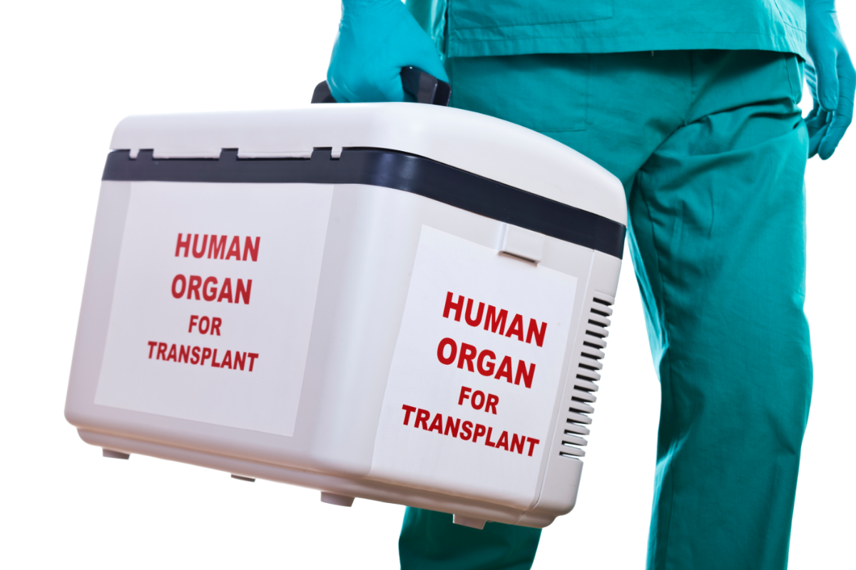 Трансплантация органов будет лимитированно оплачиваться в рамках ОМС – ЭКСКЛЮЗИВ  