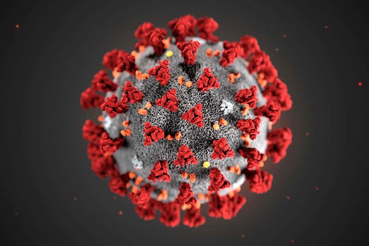 Koronavirus pandemiyası daha bir avrokubok matçının keçirilməsinə çətinlik yaradıb