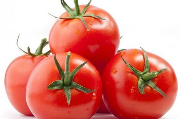 Экспорт продукции в РФ разрешен 51 предприятию по производству помидоров и 37 предприятиям по производству яблок