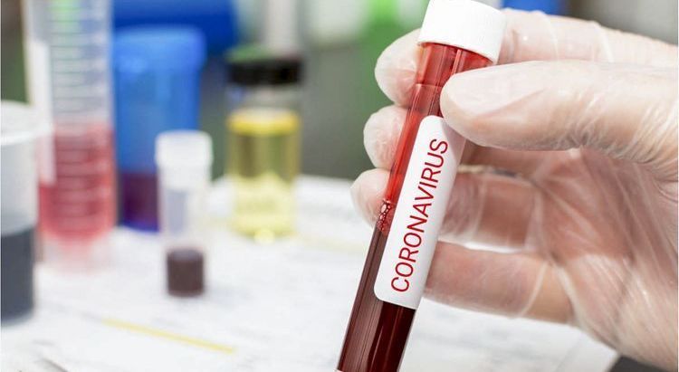 В России выявлено 15 916 новых случаев инфицирования коронавирусом