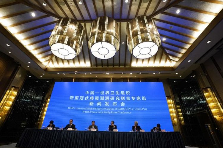 WHO mission: No indication of COVID-19 virus in Wuhan before December 2019
