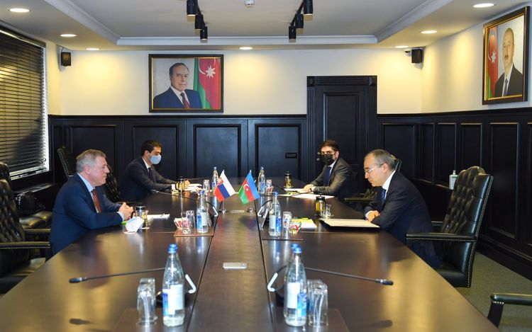 Azerbaijan and Slovakia discussed expansion of mutual trade
