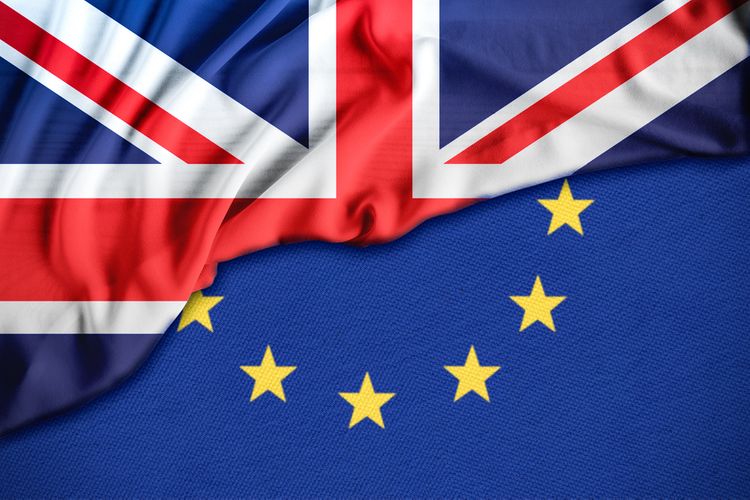 UK says surprising if EU decides data rules not adequate