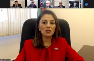 YAP və AK Partiyanın təşkilatçılığı ilə videokonfrans keçirilib