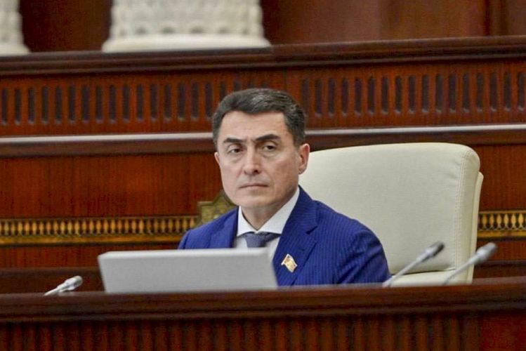 Əli Hüseynli: "Gələcəkdə digər ərazilərdə də xüsusi nümayəndəlik institutu işləyə bilər” 