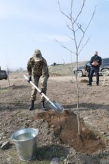 Prezident İlham Əliyev və birinci xanım Mehriban Əliyeva Füzuli, Zəngilan, Laçın və Cəbrayıl rayonlarında olublar - FOTO