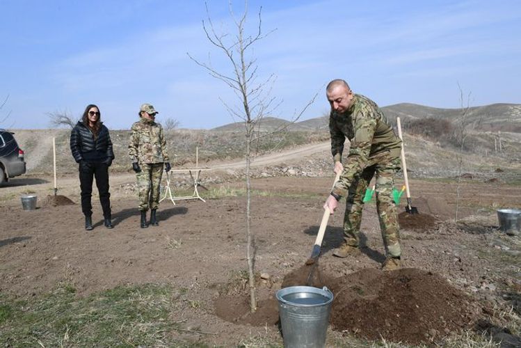 Azerbaijani President: "Restoration of the Basitchay nature reserve has started today"