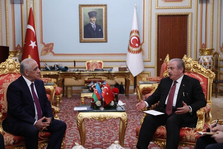 Премьер-министр Али Асадов встретился с председателем ВНСТ Мустафой Шентопом - ФОТО
