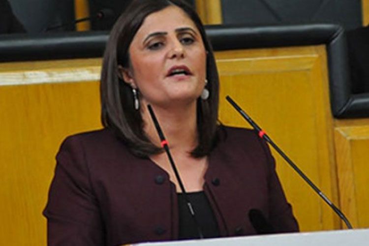 Türkiyədə PKK üzvü olmaqda ittiham olunan millət vəkili haqqında araşdırma başlanıb