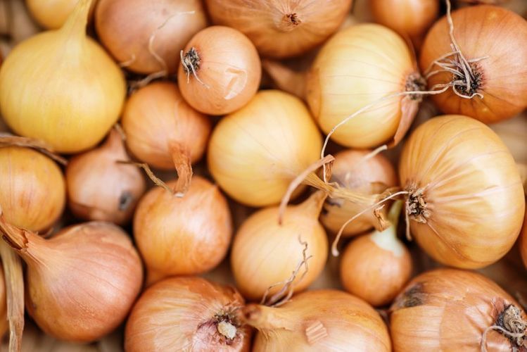 FSA: Onions imported from Ukraine found unfit