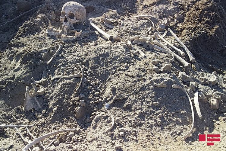 Во время раскопок в Агдаме найдены человеческие останки - ФОТО