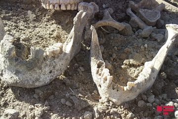 Ağdamda qazıntı zamanı insan qalıqları tapılıb - FOTO