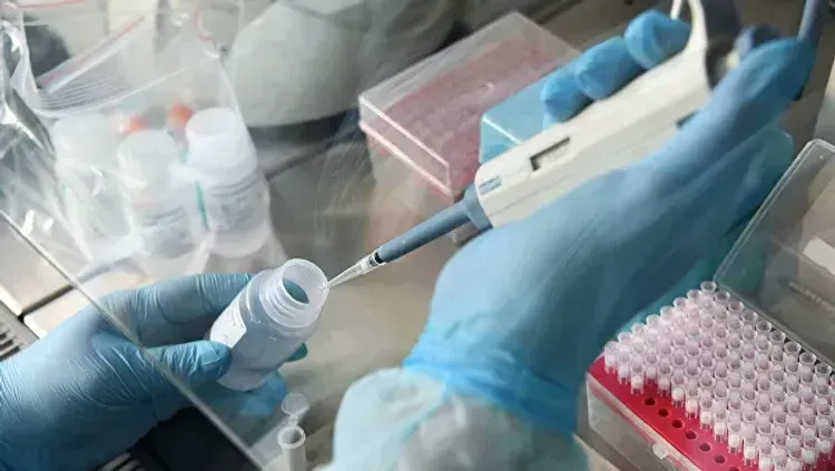 2204226 coronavirus tests conducted in Azerbaijan so far