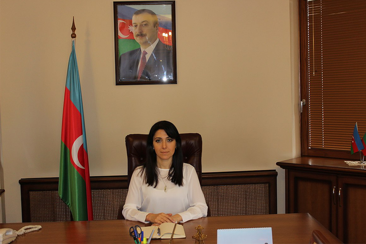 Наргиз Гурбанова назначена послом Азербайджана в Польше
