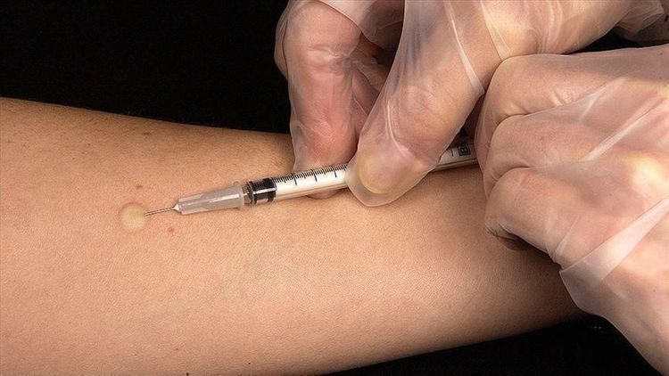 Italy tops 500,000 vaccines doses injected