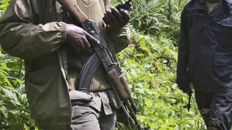 Six rangers killed in DR Congo