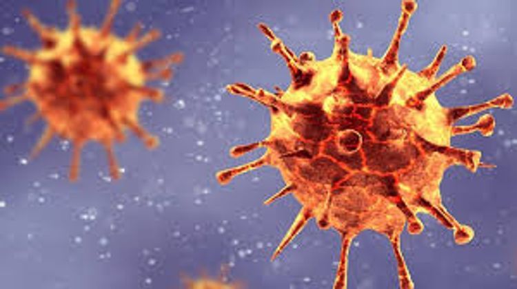 Researches are planned to be conducted based on foreign methods to detect new strain of coronavirus in Azerbaijan