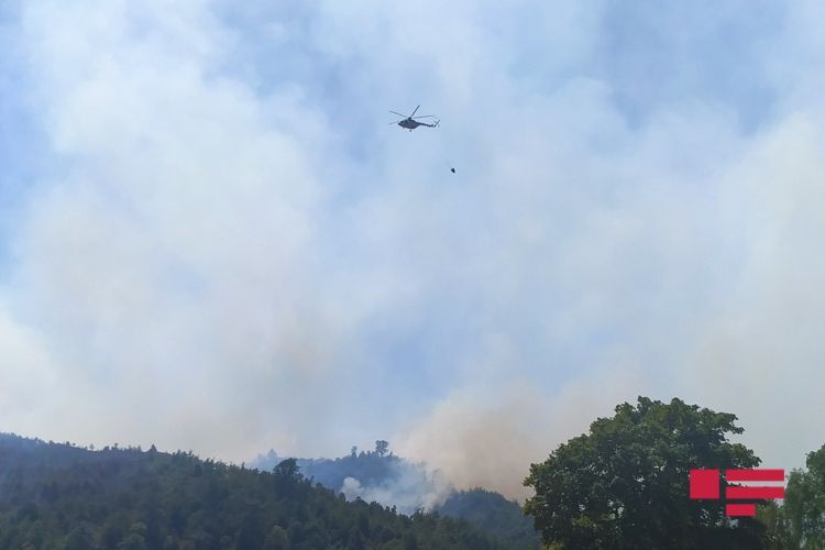 Azerbaijani MES involves plane in extinguishing fire in Hirkan National Park
