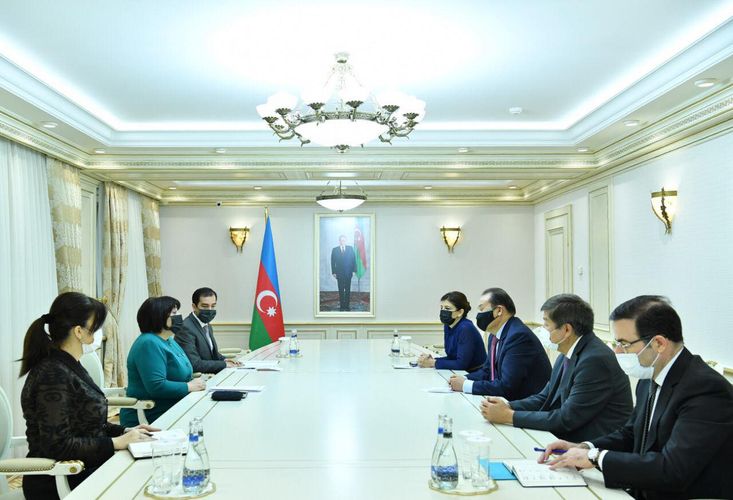 Milli Məclisin Sədri Türk Şurasının Baş katibi ilə görüşüb