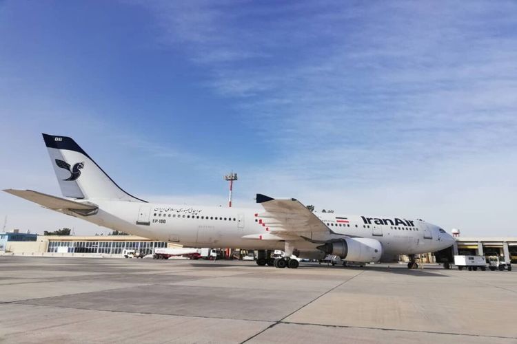 Passenger plane makes emergency landing in Iran
