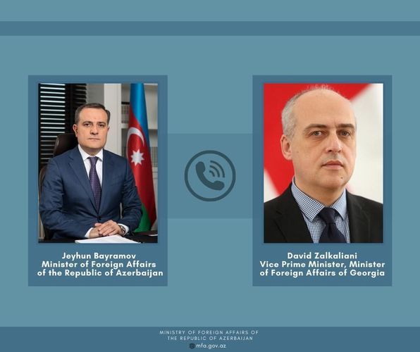 Azerbaijani and Georgian FMs discuss the situation in the region