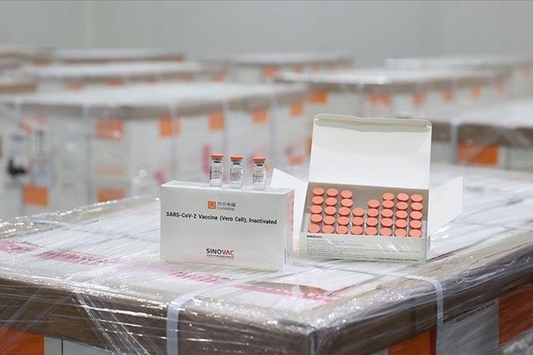 Sabah Çindən Türkiyəyə “CoronaVac" vaksininin növbəti partiyası gətiriləcək
