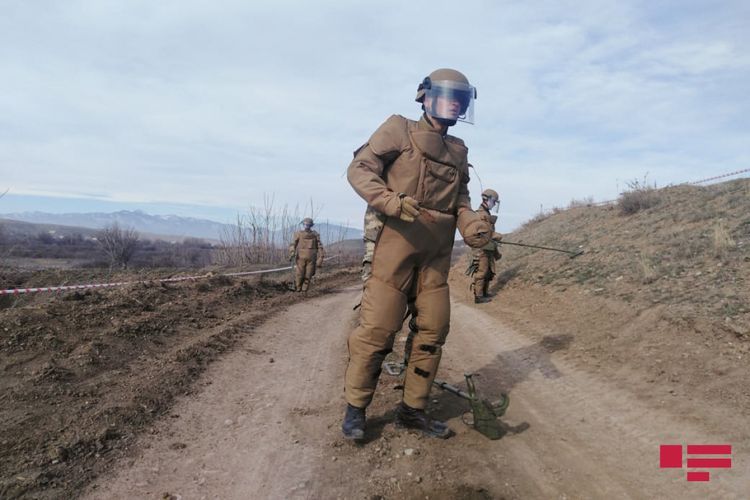 В Джабраильском, Физулинском и Агдамском районах от мин очищено более 2200 гектаров