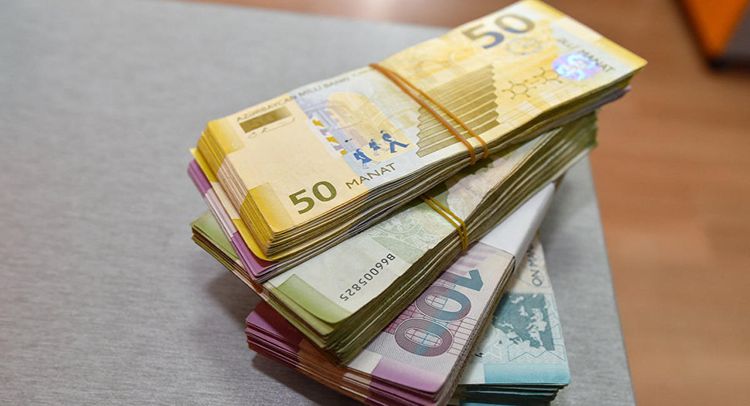 Pandemiya fonunda manatın dövretmə sürəti altıillik minimuma enib